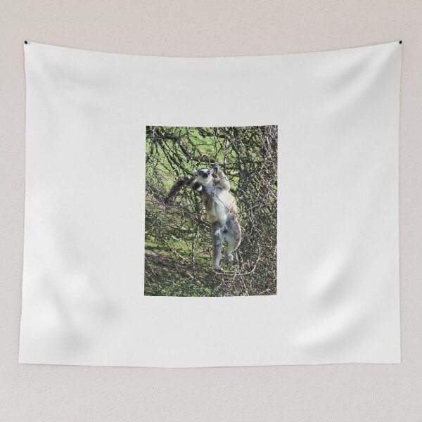 Item preview, Just hanging around! designed and sold by wenniewombat.