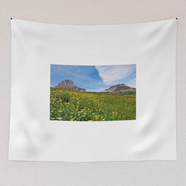 Item preview, Mounts Clements and Oberlin designed and sold by Jeff Goulden Photography.
