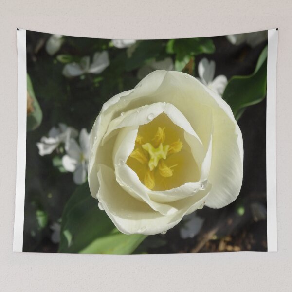 Item preview, Single white tulip designed and sold by Mary Taylor.