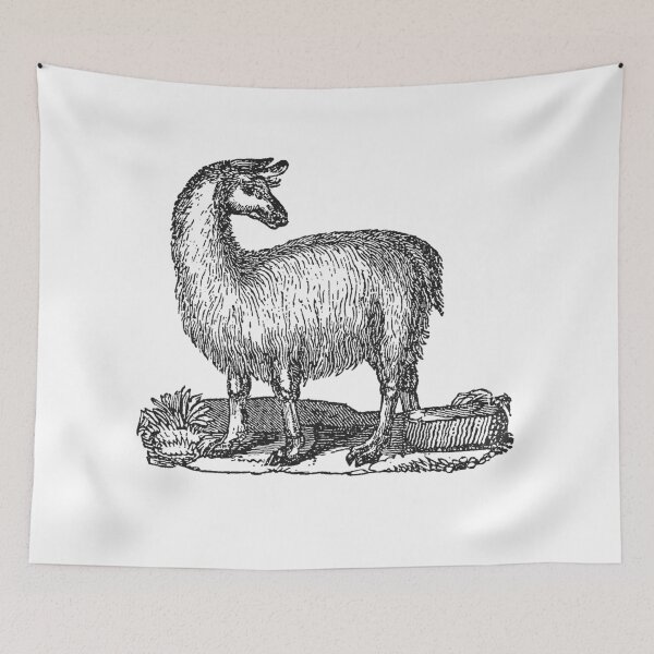 Artikelvorschau, Weinlese-Lama-Illustration Retro Schwarzweiss-Lamas-Bild entworfen und verkauft von SilverSpiral.