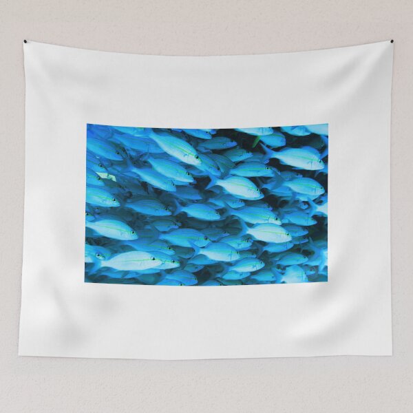 Item preview, Reef Fish Schooling designed and sold by Roupen BAKER.