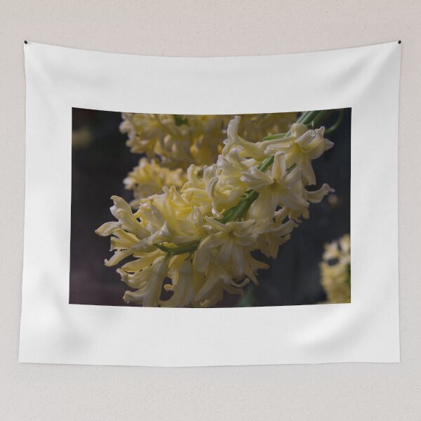 Item preview, Soft Illumination designed and sold by christalscamera.