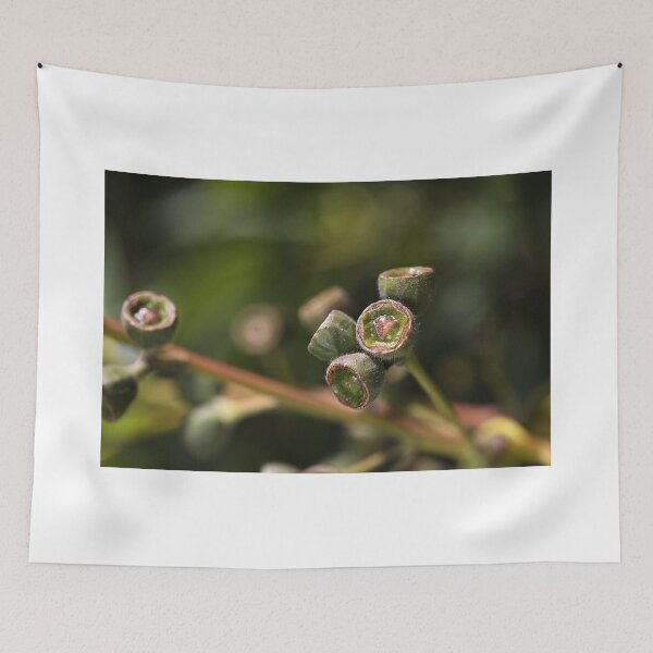 Item preview, Going Nutty designed and sold by Joy Watson - Natural Light Photography .