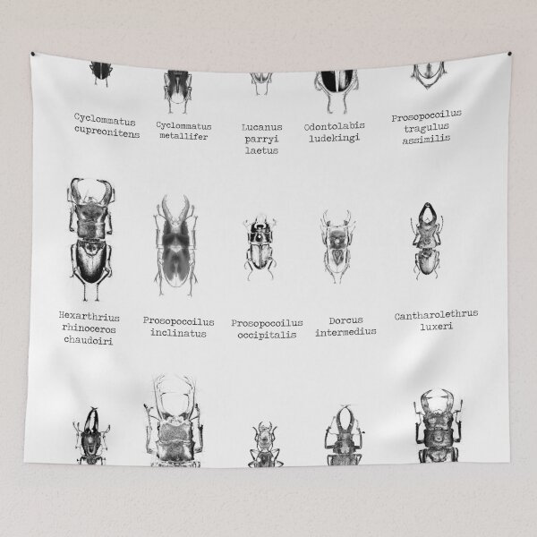 Item preview, Lucanidae designed and sold by Rurisk.