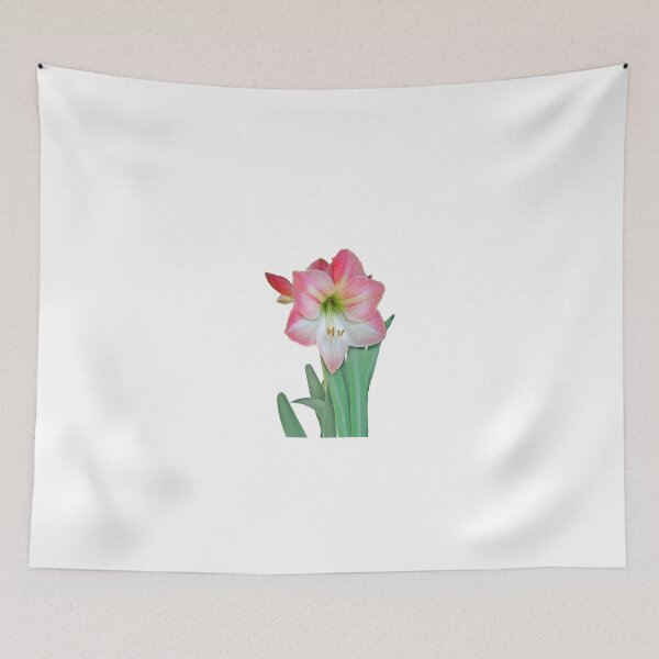 Item preview, Pink Hippeastrum Lily and leaves designed and sold by Mary Taylor.