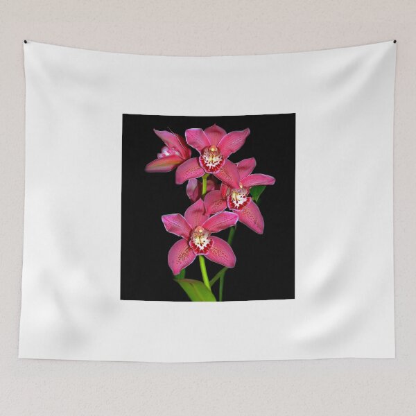 Item preview, Cattleya Orchid Flowers. designed and sold by vette.