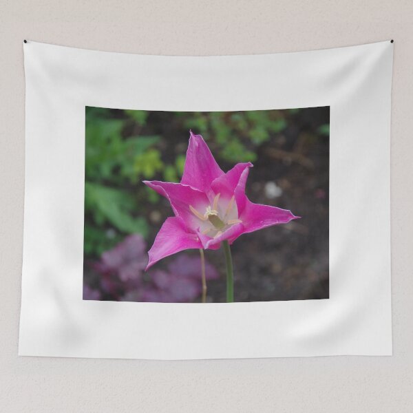 Item preview, Wide Awake Tulip designed and sold by lezvee.