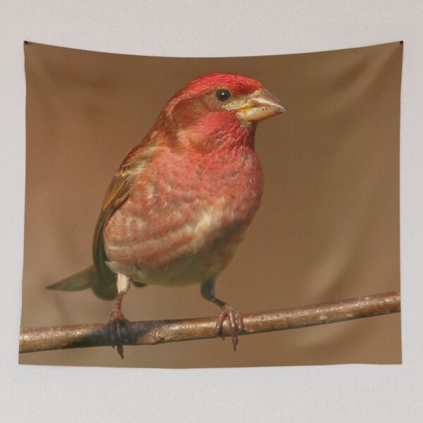 Item preview, Purple Finch designed and sold by Enola Gay Wagner.