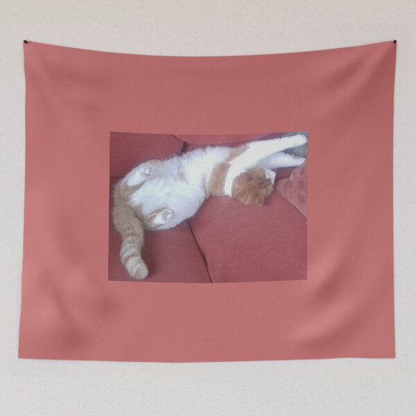 Item preview, Rippley Ginger Spice & Soft White Male Cat called Zimbabar designed and sold by Julia Woodman.
