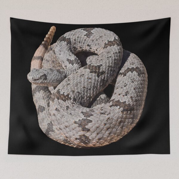Item preview, Rock Rattlesnake  designed and sold by nicksherping.