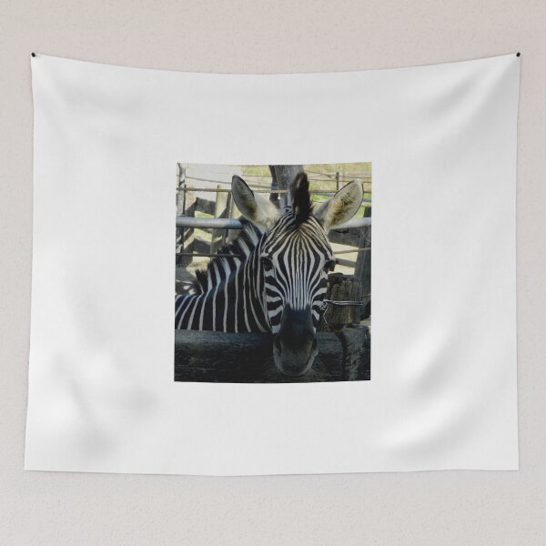Item preview, You Looking at Me?      designed and sold by sandysartstudio.