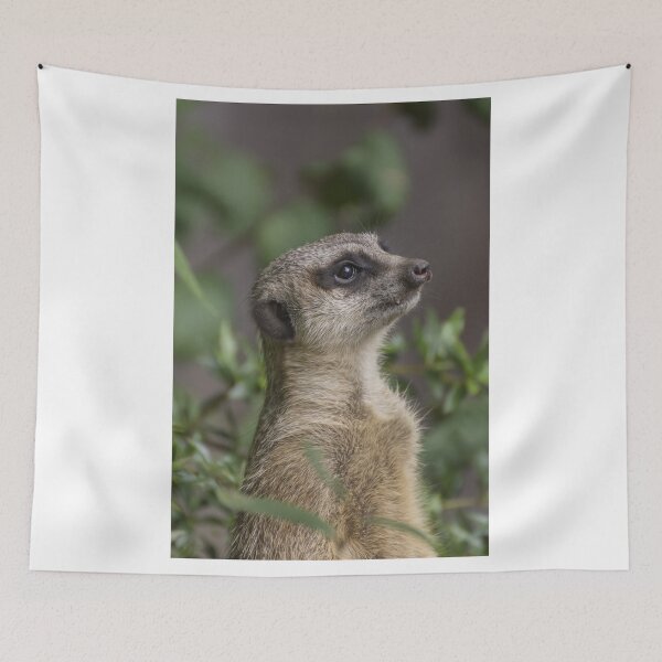 Item preview, Cute Meerkat designed and sold by Sven19864.