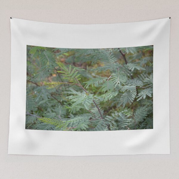 Item preview, FEATHERY FERN designed and sold by kazaroodie.