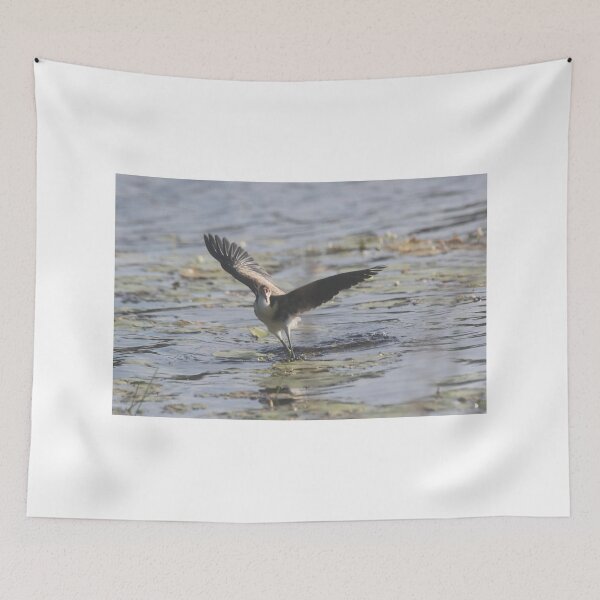 Item preview, Baby Bird Takeoff designed and sold by byronbackyard.