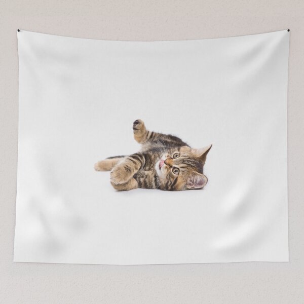 Item preview, Fluffy little tabby kitten British cat designed and sold by utekhina.