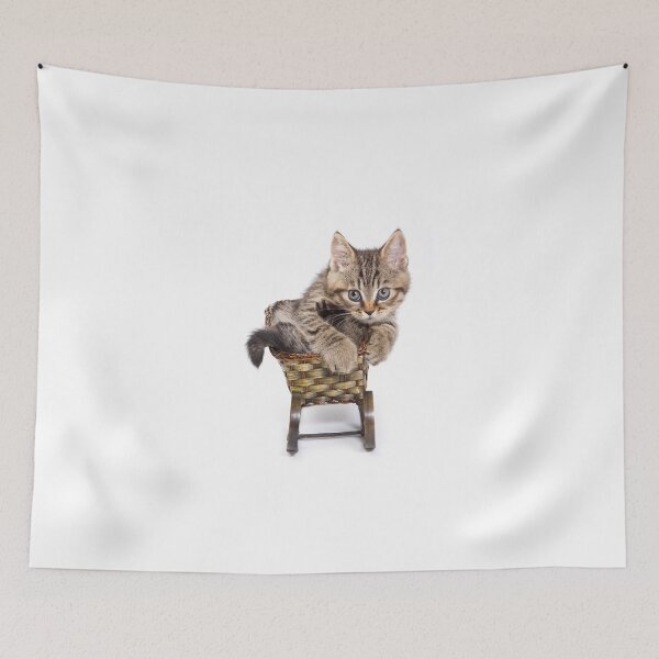 Item preview, Fluffy little tabby kitten British cat designed and sold by utekhina.