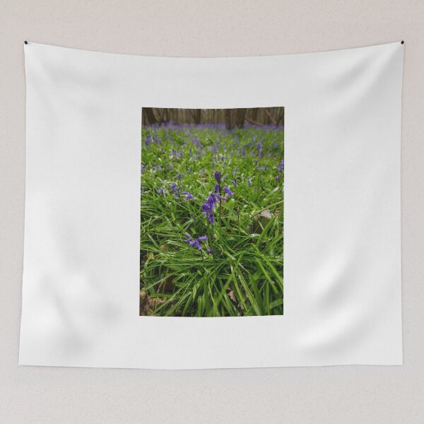 Item preview, First Signs Of Spring designed and sold by spcphotography.
