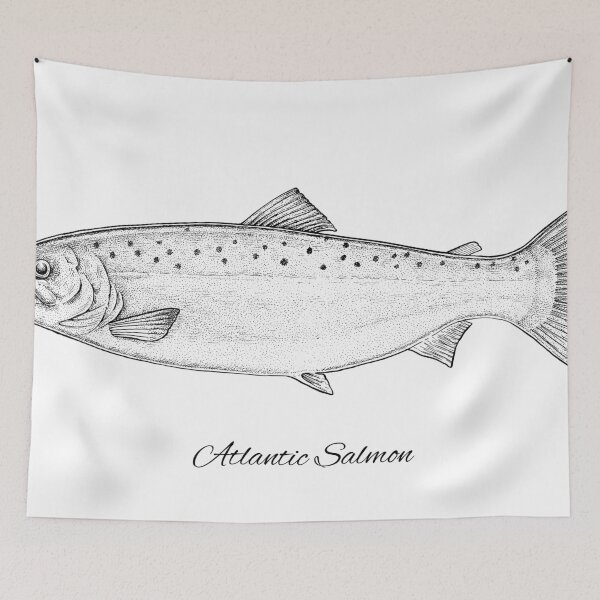 Item preview, Atlantic Salmon designed and sold by Evgenia's Fish Art.