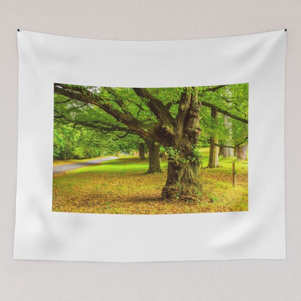 Item preview, Autumn Magic designed and sold by Bruce Reardon.