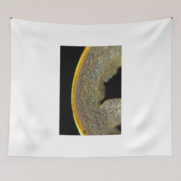 Item preview, Nightshade designed and sold by rachelcphotoart.