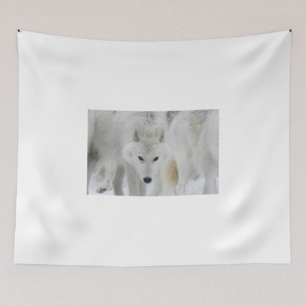 Item preview, Wolf Stare-Down designed and sold by mahindle.