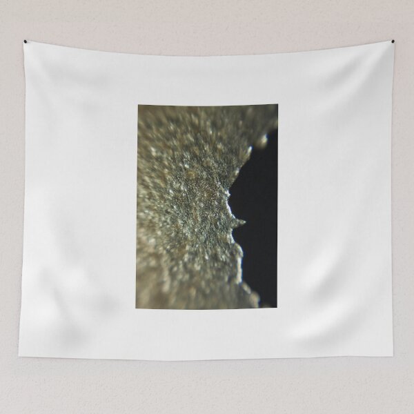 Item preview, Melon Mountain  designed and sold by rachelcphotoart.