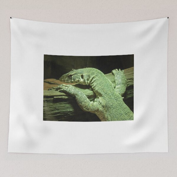 Item preview, Lizards Animals designed and sold by leanne-marie93.