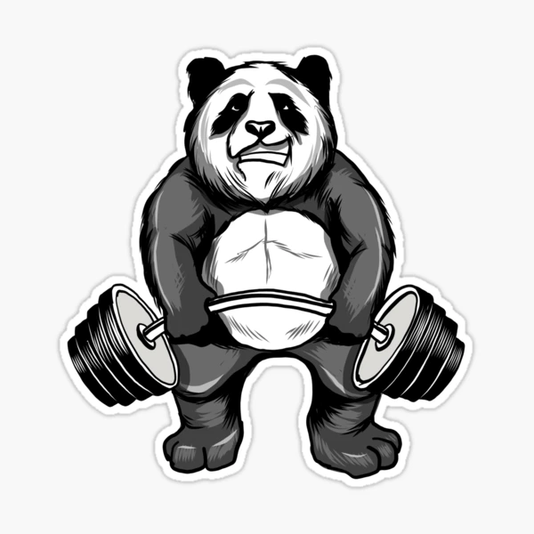 Cute Panda Lifting Weights Gym Panda Lover Gift Funny Gym Workout Panda  Lover Gift for Boys Girls Men Women Throw Pillow, 18x18, Multicolor