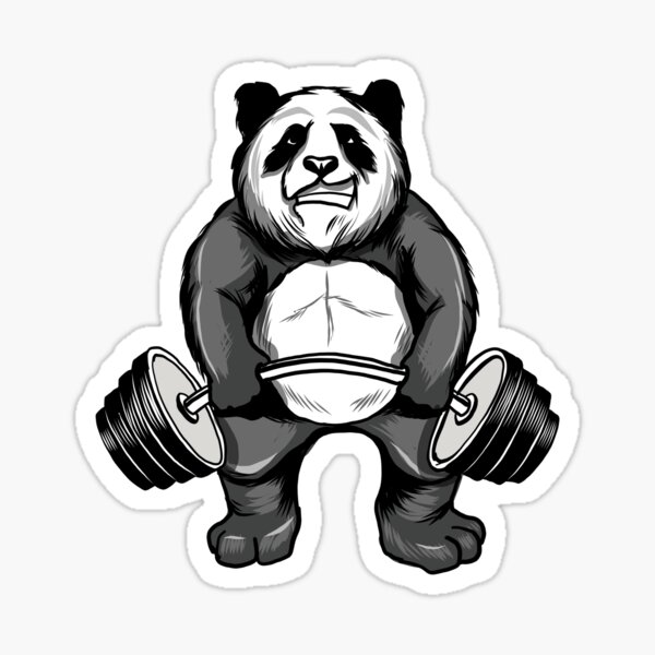 I can bear the pain, weightlifting, bear, bodybuilding, gym, teddy bear,  workout, animal lover, baby panda, bamboo, birthday gifts, body builder,  cute panda, exercise, fitness, funny panda, Poster for Sale by bimmer325