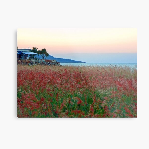 Dusk Metal Print