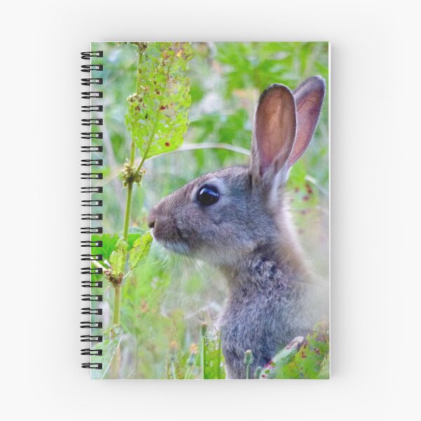 Artikelvorschau, Wilder Hase entworfen und verkauft von Louisamhocking.