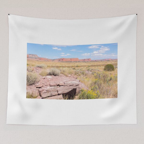 Item preview, Desert road and mesa Route 66, Arizona, USA. designed and sold by Brian Scantlebury.