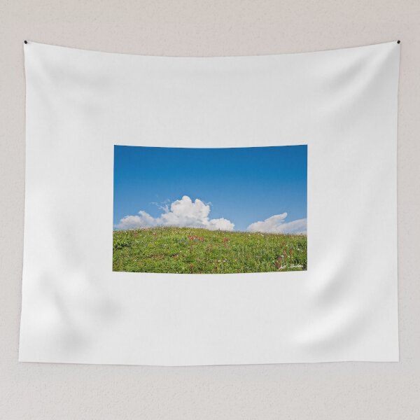 Item preview, Alpine Meadow and Cloud Formation designed and sold by Jeff Goulden Photography.