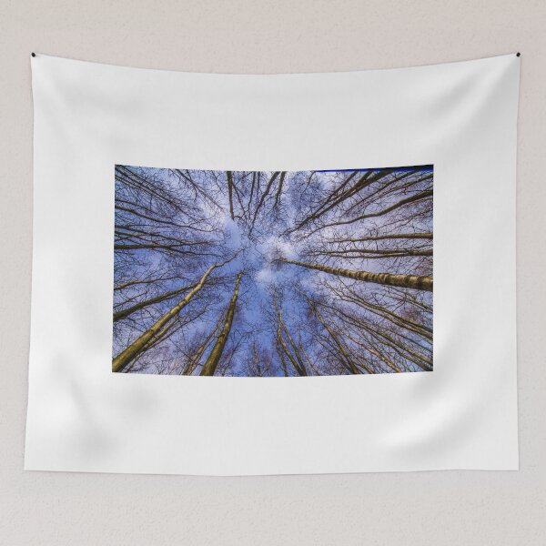 Item preview, Looking up designed and sold by spcphotography.