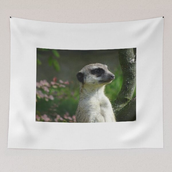 Item preview, Sweet Cute Meerkat designed and sold by Sven19864.