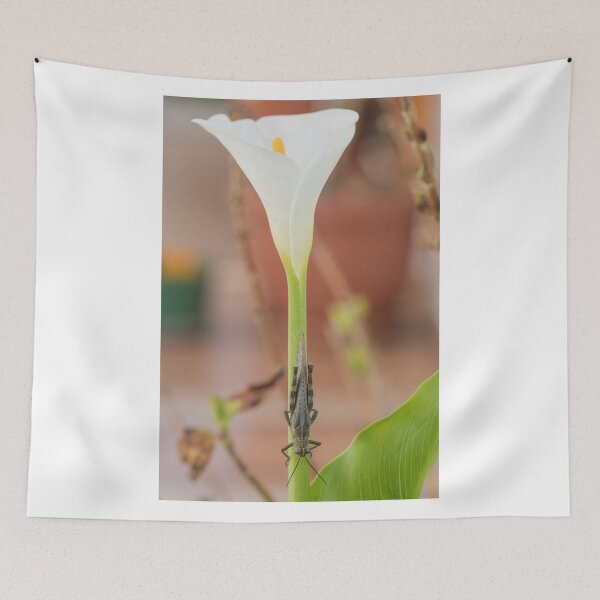 Item preview, Head down designed and sold by Antonio Pizarro Mendez.