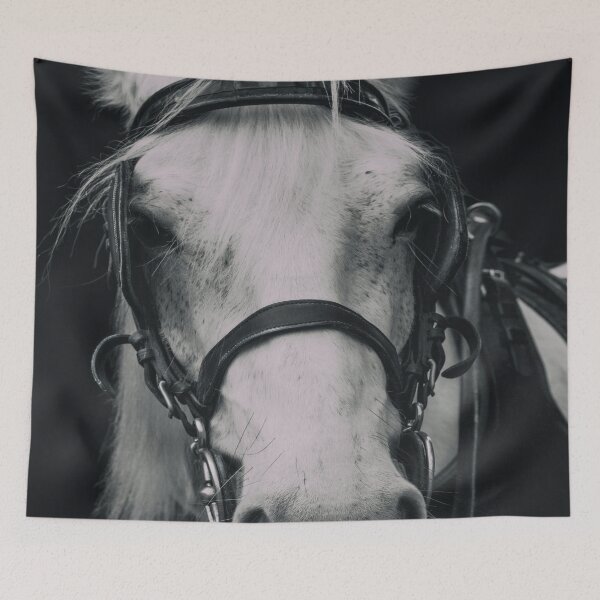 Item preview, White Horse In Dark Background designed and sold by TastefulDesigns.