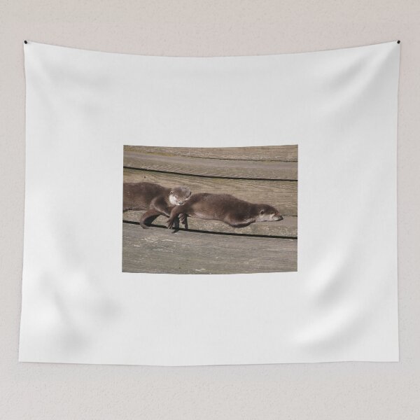 Item preview, Siesta time! designed and sold by wenniewombat.