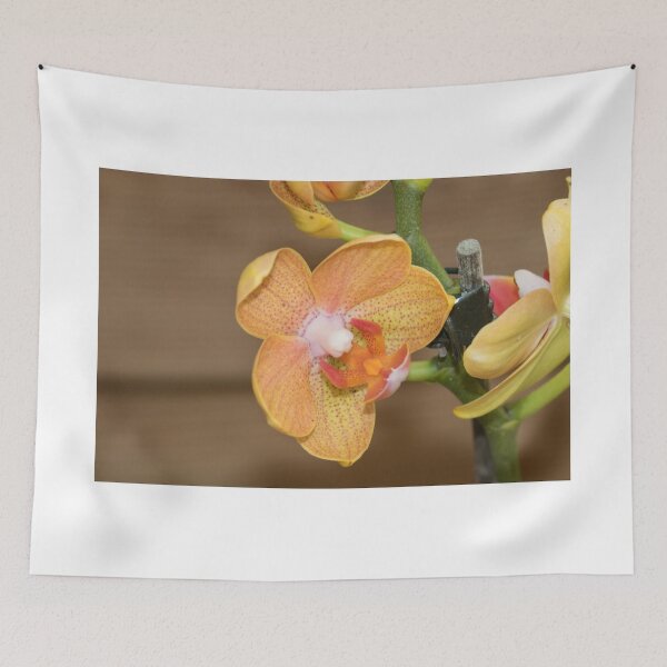 Item preview, Cymbidium Sp. designed and sold by Antonio Pizarro Mendez.