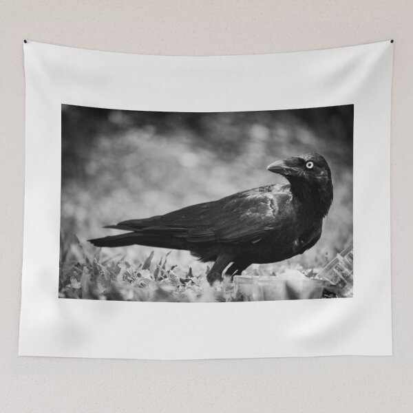 Item preview, crow 6 designed and sold by william672.