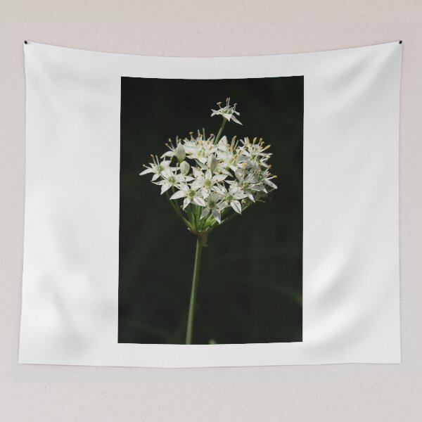 Item preview, Rising up designed and sold by Antionette.
