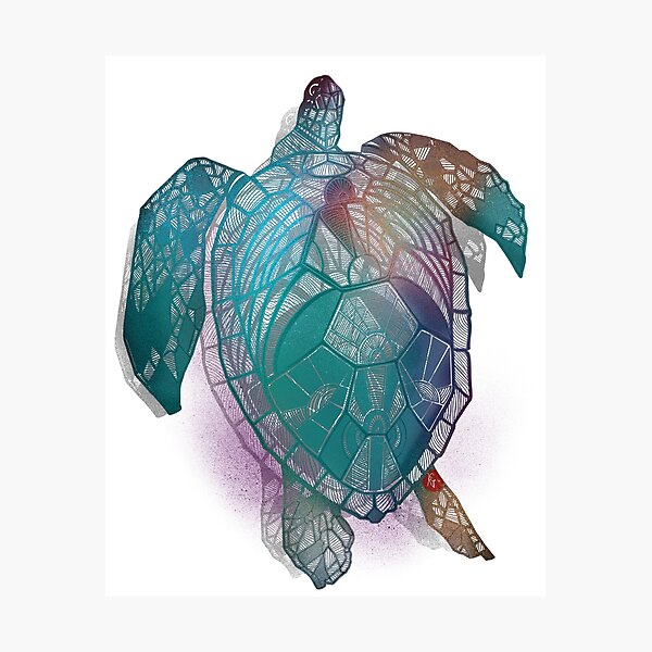 Item preview, turtle designed and sold by Yulvia Puradiredja.