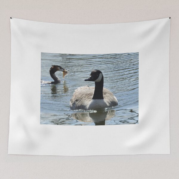 Item preview, Canadian goose and the fisher  designed and sold by StudioCorvid.