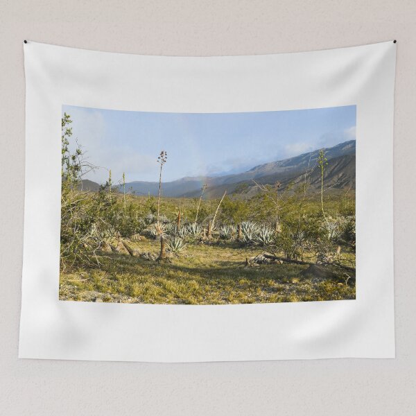 Item preview, Parque Estatal del Desierto Anza-Borrego, California designed and sold by Mike Kunes.