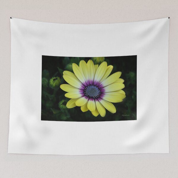 Item preview, Nature Shines in My Garden designed and sold by heatherfriedman.