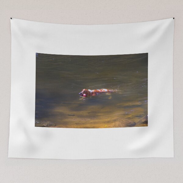 Item preview, Fetching In The Yanuncay designed and sold by alabca.