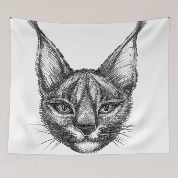 Item preview, Caracal cat bw designed and sold by lex-sky.