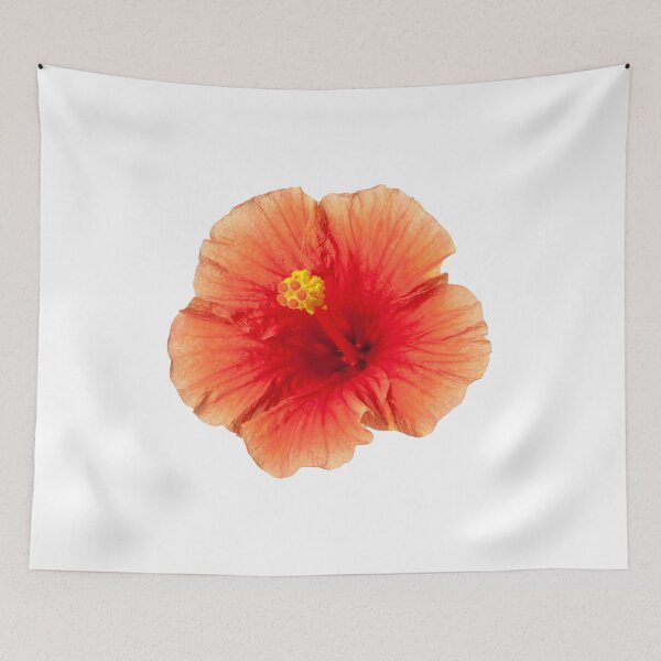 Item preview, Orange Yellow Hibiscus Tropical Flower  designed and sold by SilverSpiral.