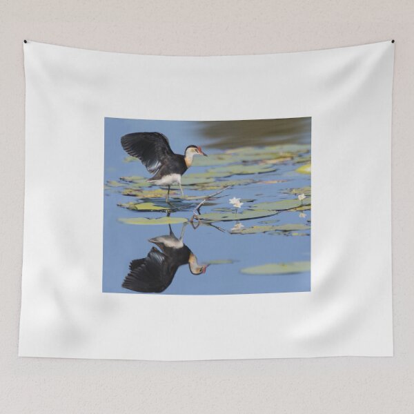 Item preview, Waterlily Dancing designed and sold by byronbackyard.