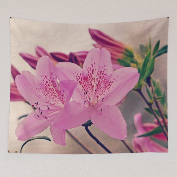 Item preview, Azalea Blooms designed and sold by Frankie Cat Photography.
